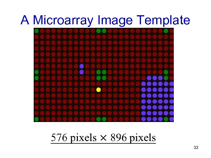 A Microarray Image Template 32 