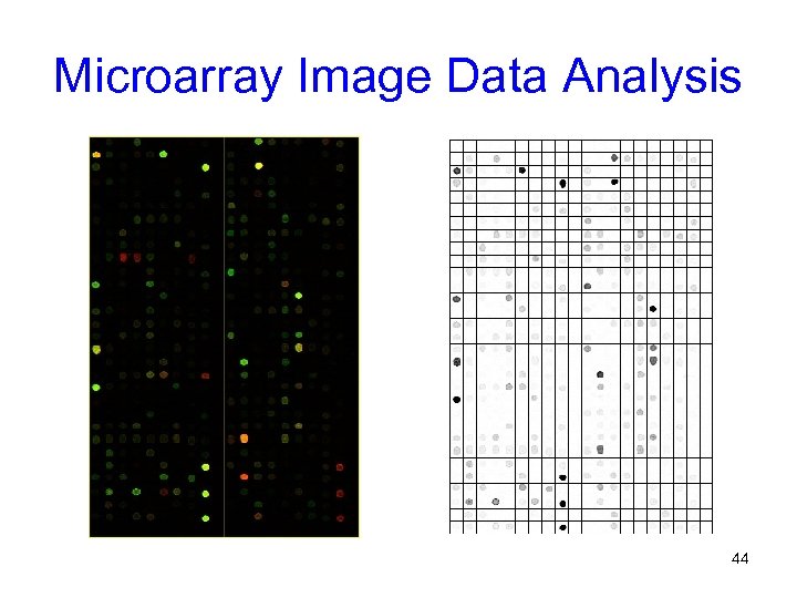 Microarray Image Data Analysis 44 