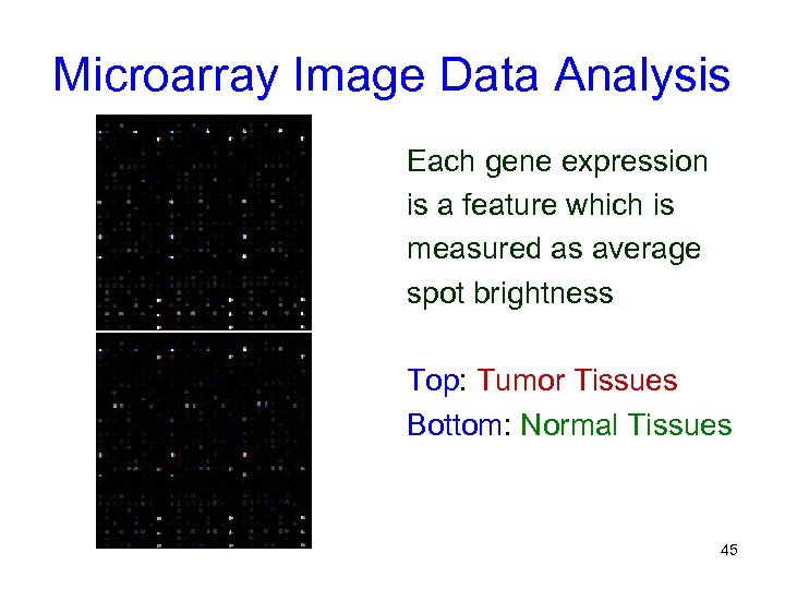 Microarray Image Data Analysis Each gene expression is a feature which is measured as