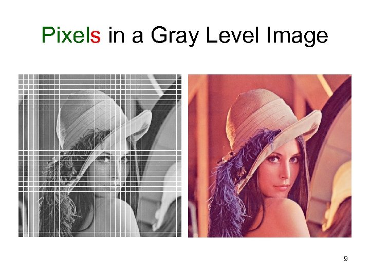 Pixels in a Gray Level Image 9 