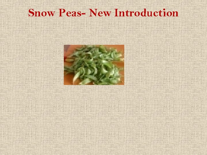 Snow Peas- New Introduction 