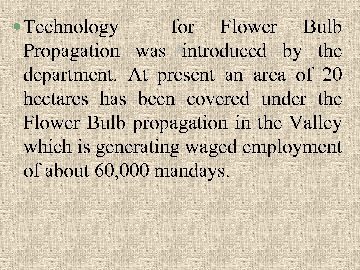  Technology for Flower Bulb Propagation was introduced by the department. At present an