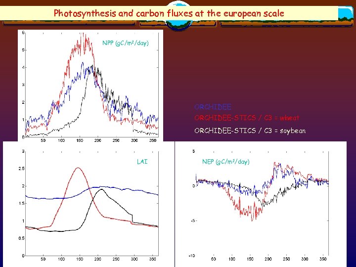 Photosynthesis and carbon fluxes at the european scale NPP (g. C/m 2/day) ORCHIDEE-STICS /