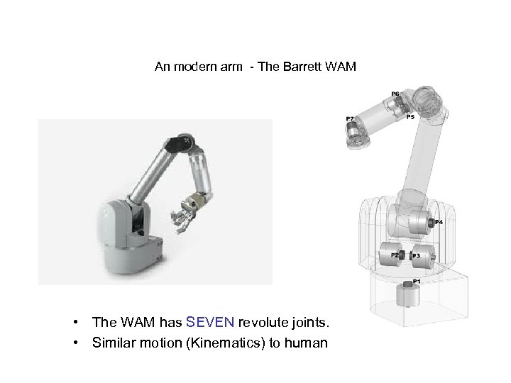 An modern arm - The Barrett WAM • The WAM has SEVEN revolute joints.