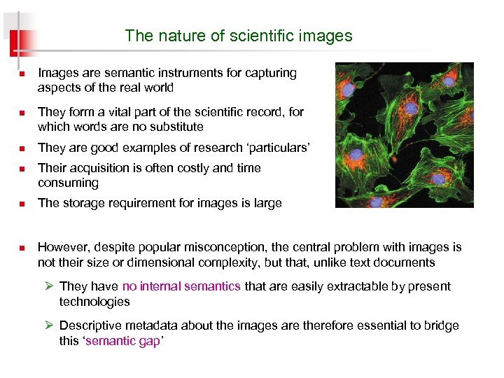 The nature of scientific images n n n Images are semantic instruments for capturing
