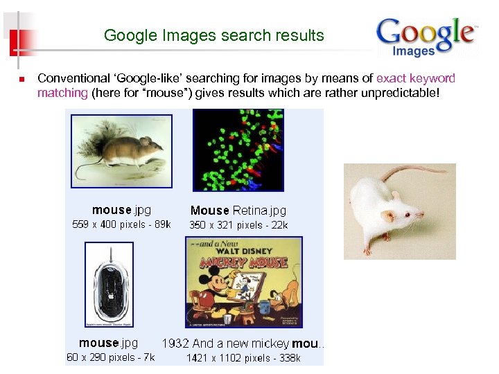 Google Images search results n Conventional ‘Google-like’ searching for images by means of exact