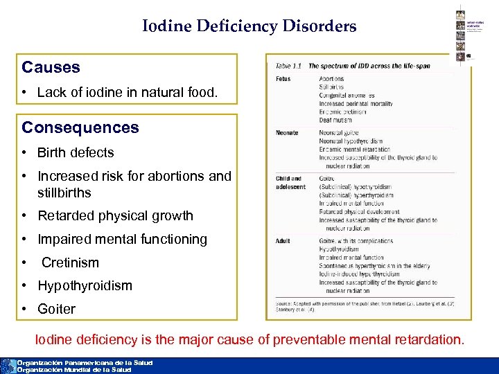 Iodine Deficiency Disorders Causes • Lack of iodine in natural food. Consequences • Birth