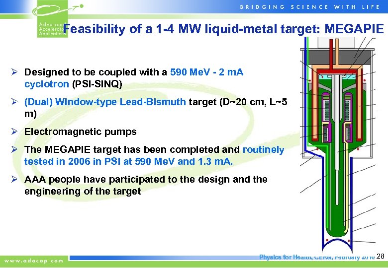 Feasibility of a 1 -4 MW liquid-metal target: MEGAPIE Ø Designed to be coupled
