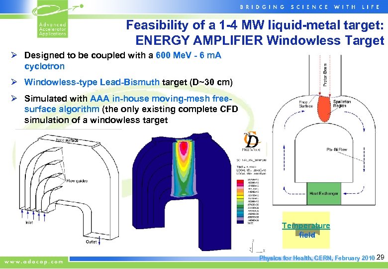 Feasibility of a 1 -4 MW liquid-metal target: ENERGY AMPLIFIER Windowless Target Ø Designed