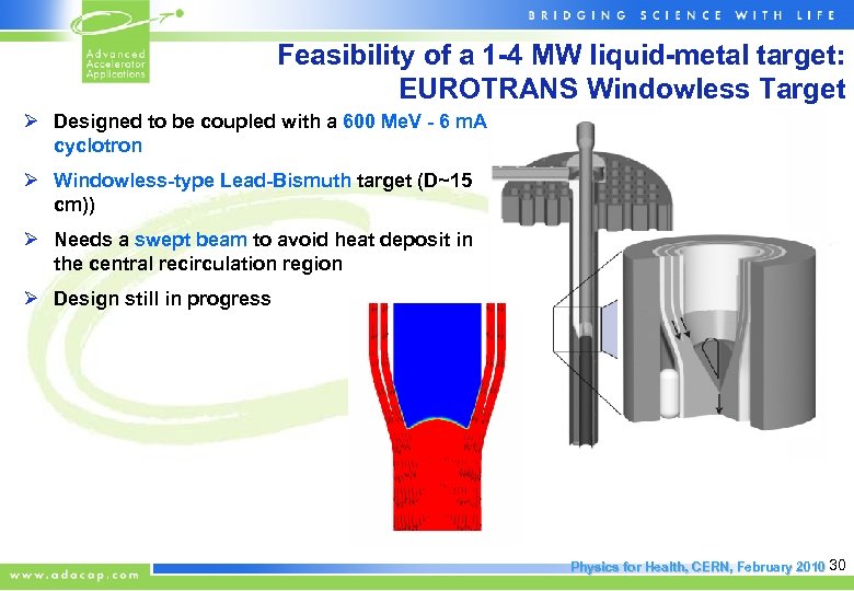 Feasibility of a 1 -4 MW liquid-metal target: EUROTRANS Windowless Target Ø Designed to