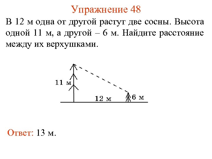 Упражнение 48 В 12 м одна от другой растут две сосны. Высота одной 11