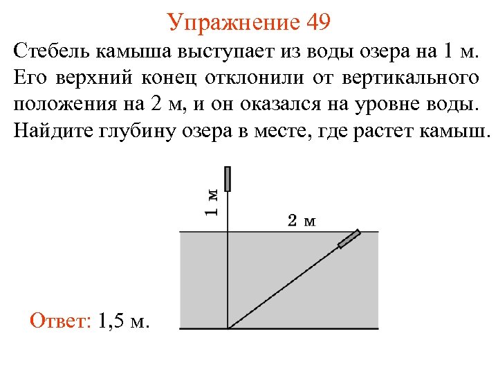 Упражнение 49 Стебель камыша выступает из воды озера на 1 м. Его верхний конец