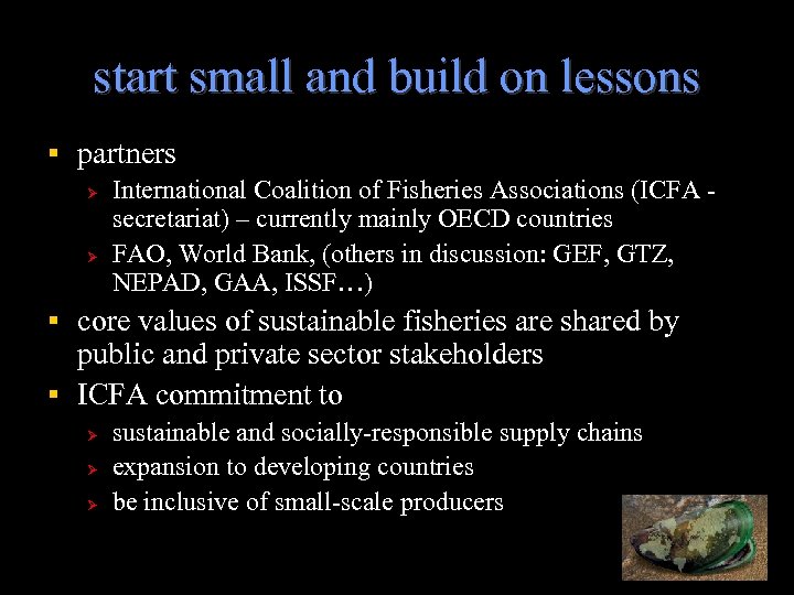 start small and build on lessons partners Ø Ø International Coalition of Fisheries Associations