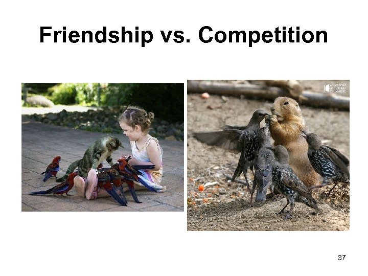 Friendship vs. Competition 37 