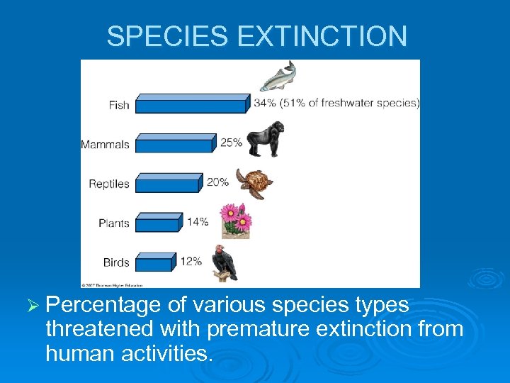 SPECIES EXTINCTION Ø Percentage of various species types threatened with premature extinction from human