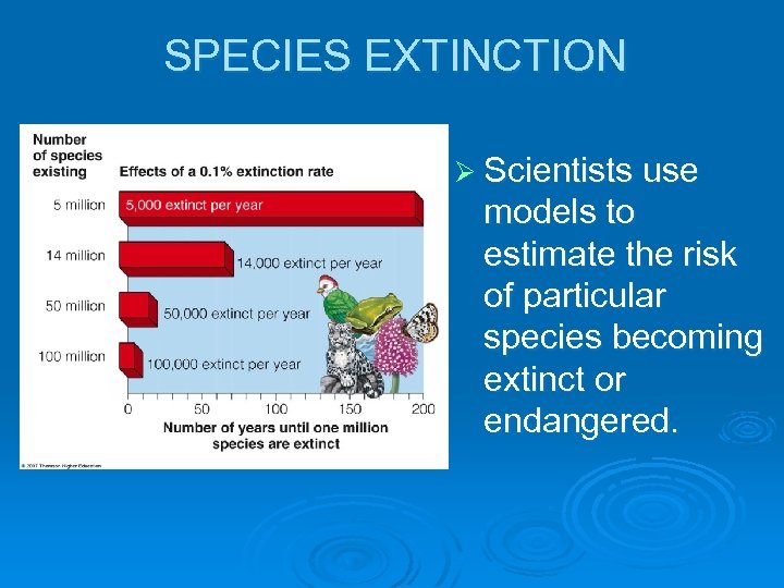 SPECIES EXTINCTION Ø Scientists use models to estimate the risk of particular species becoming