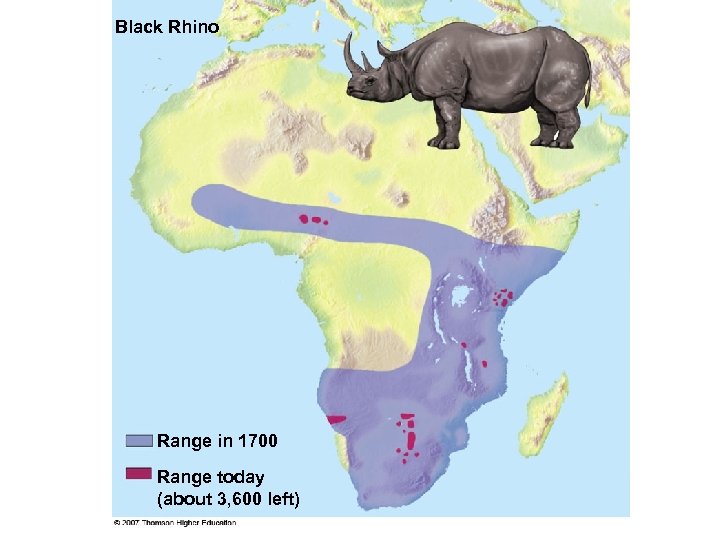 Black Rhino Range in 1700 Range today (about 3, 600 left) 