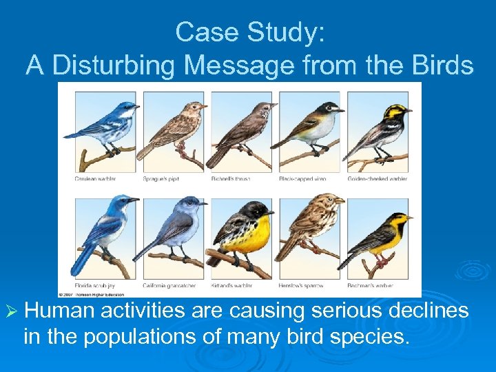 Case Study: A Disturbing Message from the Birds Ø Human activities are causing serious