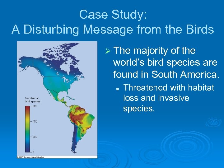 Case Study: A Disturbing Message from the Birds Ø The majority of the world’s