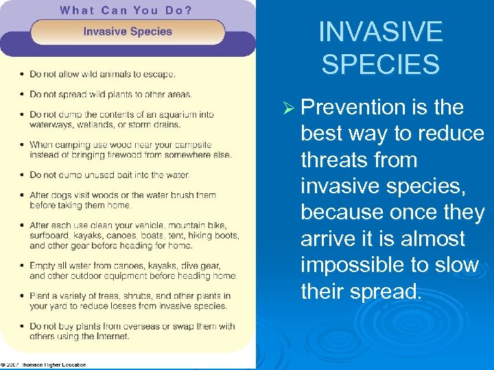 INVASIVE SPECIES Ø Prevention is the best way to reduce threats from invasive species,