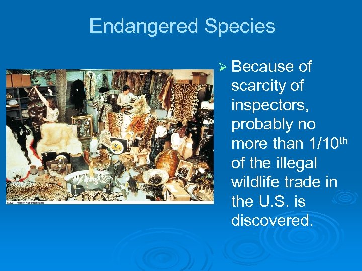 Endangered Species Ø Because of scarcity of inspectors, probably no more than 1/10 th