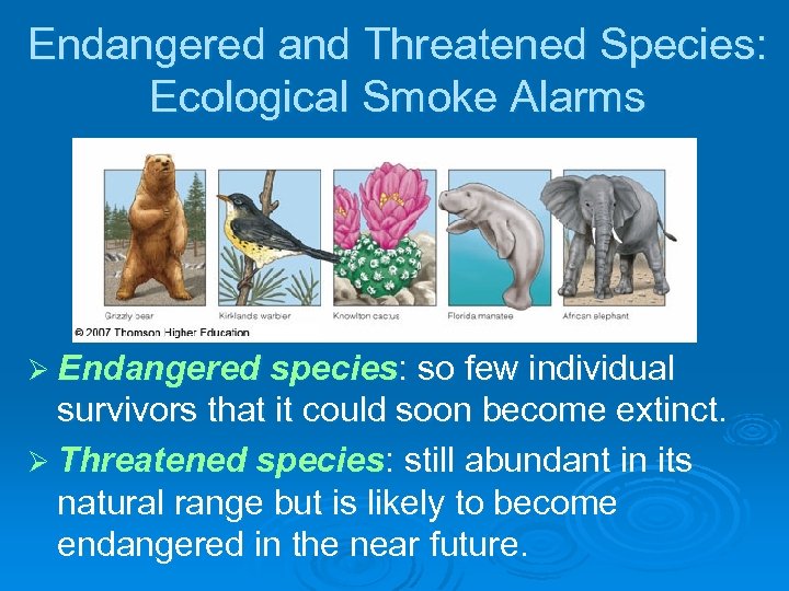 Endangered and Threatened Species: Ecological Smoke Alarms Ø Endangered species: so few individual survivors