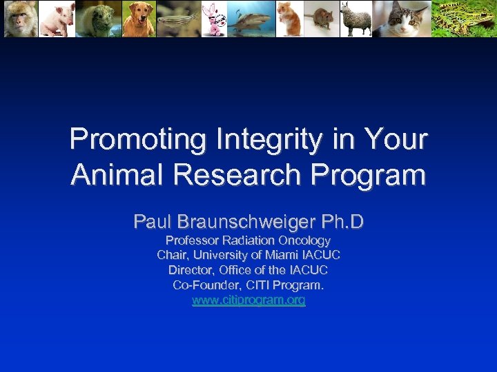 Promoting Integrity in Your Animal Research Program Paul Braunschweiger Ph. D Professor Radiation Oncology