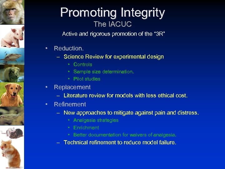 Promoting Integrity The IACUC Active and rigorous promotion of the “ 3 R” •