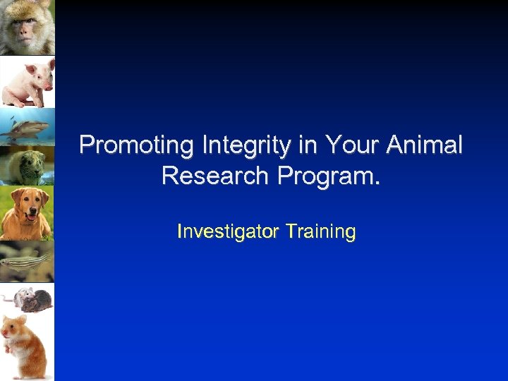 Promoting Integrity in Your Animal Research Program. Investigator Training RCR 12 -29 -07 