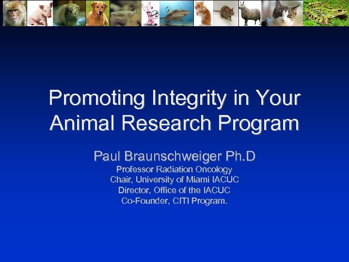 Promoting Integrity in Your Animal Research Program Paul Braunschweiger Ph. D Professor Radiation Oncology