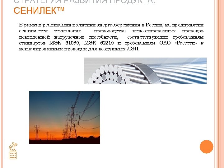 СТРАТЕГИЯ РАЗВИТИЯ ПРОДУКТА. СЕНИЛЕК™ В рамках реализации политики энергосбережения в России, на предприятии осваивается