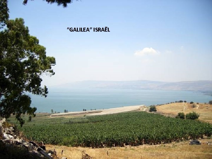 “GALILEA” ISRAËL 