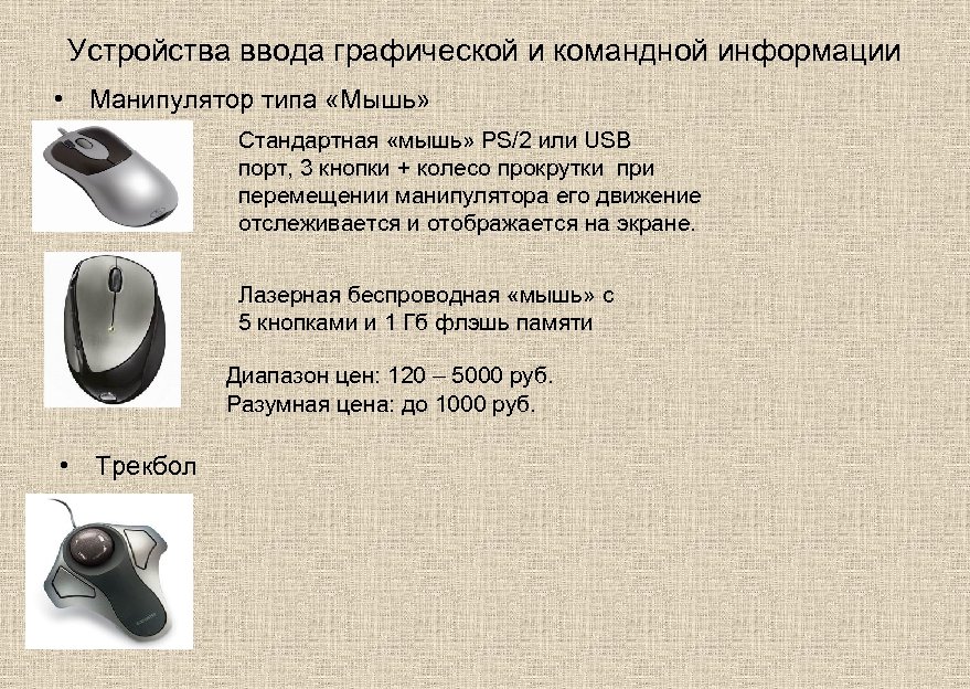 Устройства ввода графической и командной информации • Манипулятор типа «Мышь» Стандартная «мышь» PS/2 или