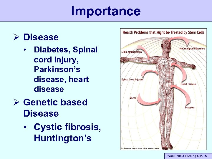 Importance Ø Disease • Diabetes, Spinal cord injury, Parkinson’s disease, heart disease Ø Genetic