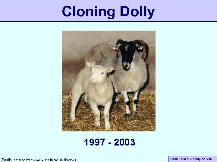 Cloning Dolly 1997 - 2003 (Roslin Institute http: //www. roslin. ac. uk/library/) Stem Cells