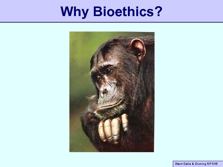 Why Bioethics? Stem Cells & Cloning 5/11/05 