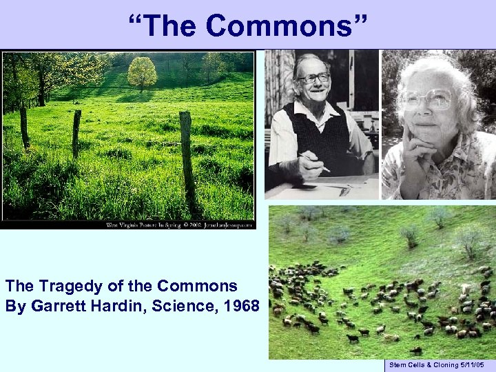 “The Commons” The Tragedy of the Commons By Garrett Hardin, Science, 1968 Stem Cells