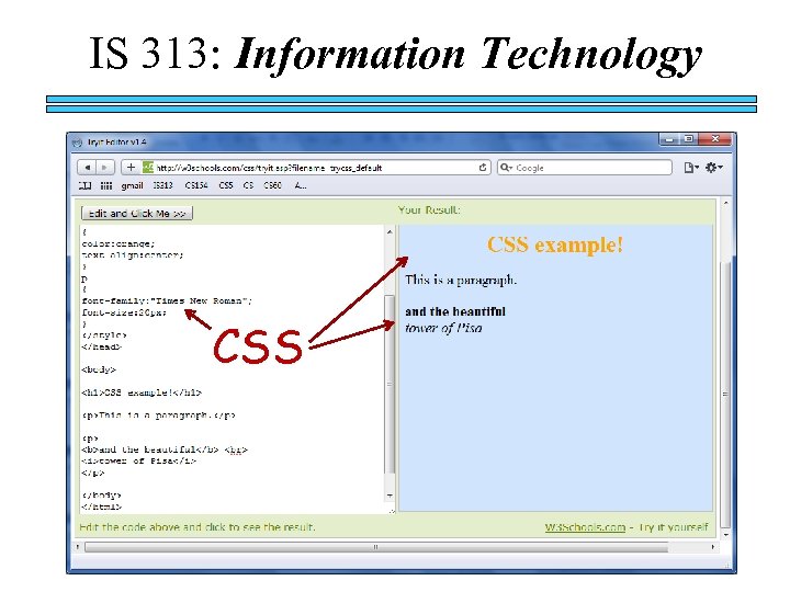 IS 313: Information Technology CSS 