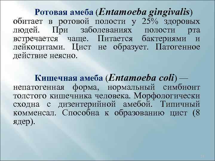 Ротовая амеба (Entamoeba gingivalis) обитает в ротовой полости у 25% здоровых людей. При заболеваниях