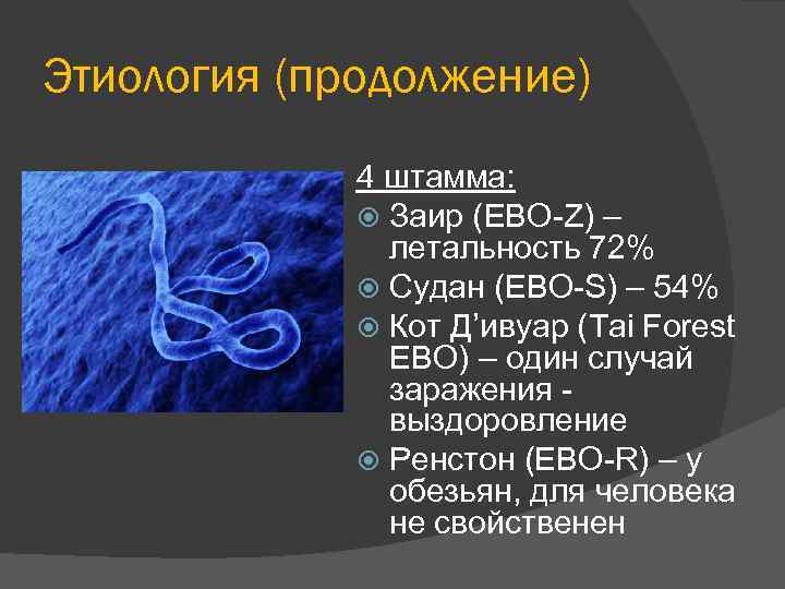 Этиология (продолжение) 4 штамма: Заир (EBO-Z) – летальность 72% Судан (EBO-S) – 54% Кот