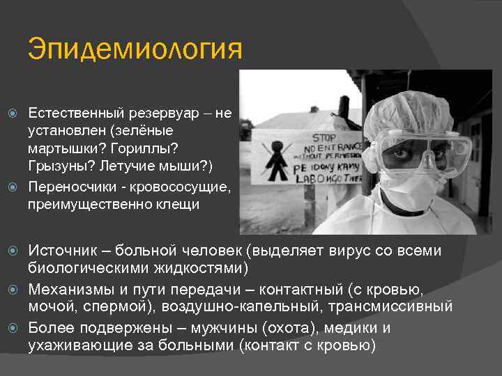 Эпидемиология Естественный резервуар – не установлен (зелёные мартышки? Гориллы? Грызуны? Летучие мыши? ) Переносчики