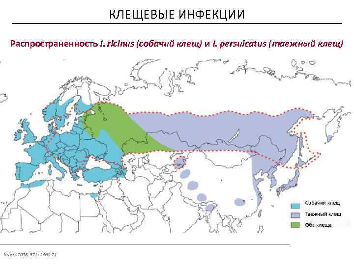 Где водятся энцефалитные клещи. Ареал обитания энцефалитного клеща в мире. Клещи ареал обитания в России на карте. Где обитают клещи карта. Карта обитания клещей.