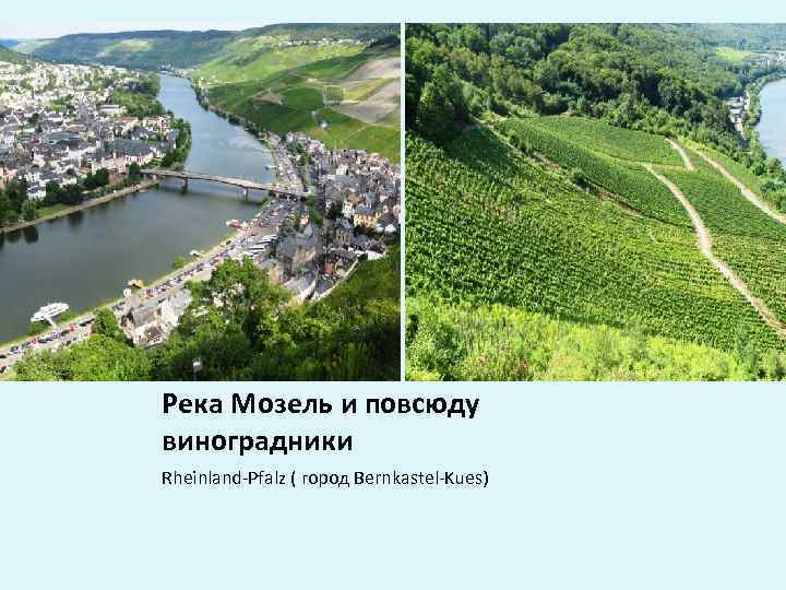 Река Мозель и повсюду виноградники Rheinland-Pfalz ( город Bernkastel-Kues) 
