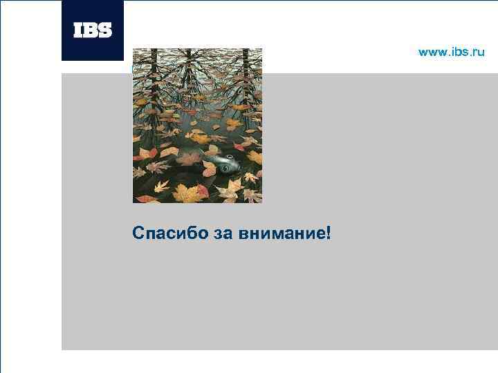 www. ibs. ru Вставьте картинку Спасибо за внимание! 