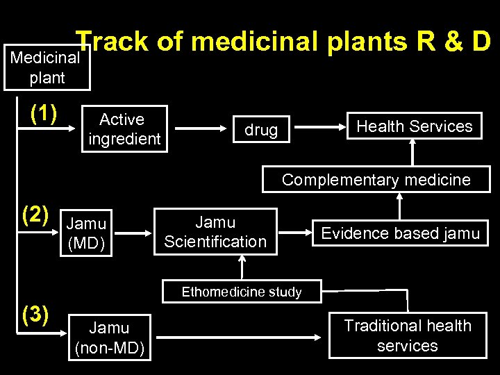 Track of medicinal plants R & D Medicinal plant (1) Active ingredient Health Services