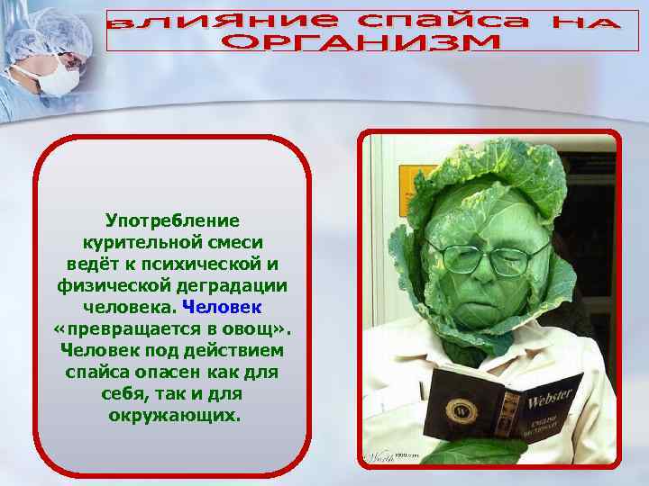 Употребление курительной смеси ведёт к психической и физической деградации человека. Человек «превращается в овощ»