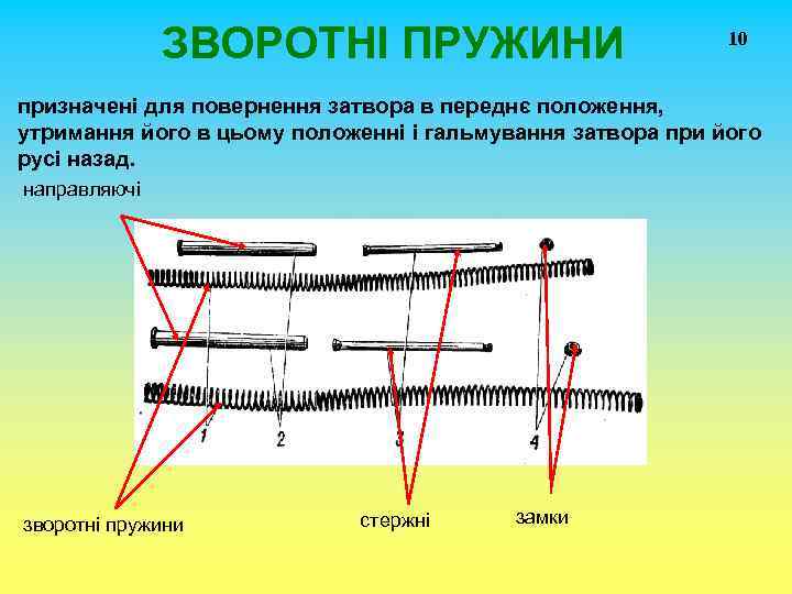 ЗВОРОТНІ ПРУЖИНИ 10 призначені для повернення затвора в переднє положення, утримання його в цьому