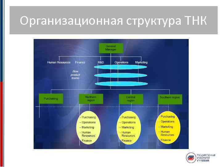 Организационная структура ТНК 