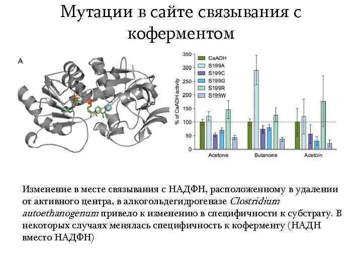 Мутации в сайте связывания с коферментом Изменение в месте связывания с НАДФН, расположенному в