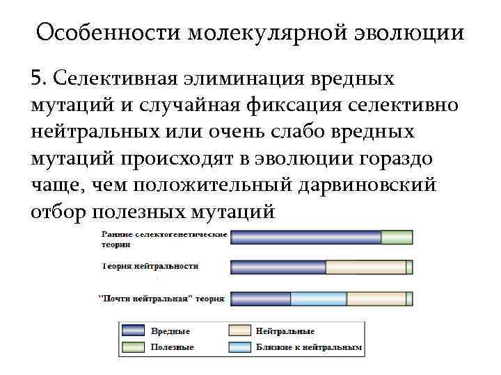 Особенности молекулярной эволюции 5. Селективная элиминация вредных мутаций и случайная фиксация селективно нейтральных или